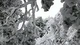 去年天门山雪景，美的不像话