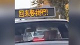 女子承包出租车顶灯喊话男友:小亮回来吧彩礼不要了