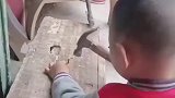 小男孩跟着木匠爷爷学习