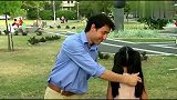 国外街头恶搞：女孩当街生吃老鼠？把路人都吓坏了