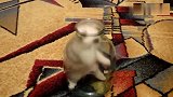 小猫咪钻进瓶子玩耍，猫妈妈一脸的无奈，咋生了个这么傻的!