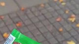 男子路边遇到野猪，拿出辣条喂食