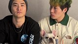 《只有狗不笑》