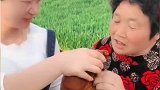 超大的大羊肚，儿媳妇还没开吃，婆婆的反应看的我都尴尬了