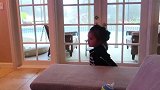 你怎么骑在老虎身上了，你不害怕吗，小朋友太勇敢了！