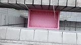 猫：小鱼干都没用，我才不上来！