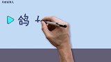 亲子绘画英语15：代表和平的白鸽，你们知道英语怎么读吗