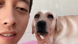 赛文生病了，主人鼓励赛文要勇敢，主人和赛文的默契度还是那么高