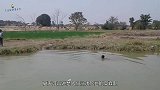 “水鬼”真的存在吗？听听科学家怎么说，真相令人意想不到