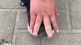 小样滴，吓我一跳！看我咋收拾你就完了