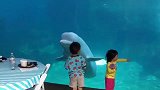 兄妹俩去水族馆看望大白鲸，白鲸看到二人甜密的互动，太可爱了