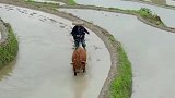 这就是乡愁吗，看到眼前这情景，就想起了我在农村的父母！