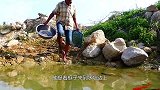 大叔想买鱼缸，在水坑中捕获大量锦鲤，真聪明