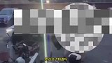 大爷遛狗不拴绳扬言报警能把我怎样