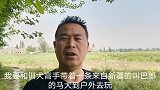 训犬高手和来自新疆的马犬巴郎，野外游玩不忘训练，人犬合一