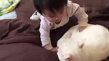好萌！小宝宝第一次撸猫好开心,结果猫咪忍无可忍反击了