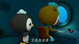 海底小纵队：呱唧看到蜘蛛就乱窜