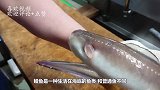 韩国大厨刀工有多恐怖？鳗鱼刚反咬一口，瞬间被剥皮！