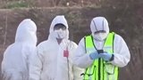防禽流感扩散，韩国扑杀440多万只家禽