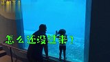 淘气萌娃想要吓海豚，却被海豚先生给吓了一跳，太搞笑了