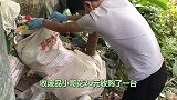 20元收购70年代电风扇， 牛人小哥翻修两天， 转手卖1万？