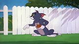 猫和老鼠：大狗变身野狗，汤姆猫都吓到了！