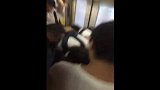 北京地铁5号线小偷被暴揍 小偷大喊帮我打110