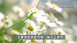 母亲过马路被撞飞数米头部着地，女儿目睹惨祸病倒身亡，家属：医生称是吓死了