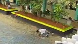 印尼球迷效仿C罗Siuuu却不慎滑倒 观众哄然大笑