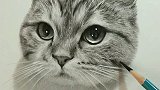 这猫头画的简直活灵活现，栩栩如生的样子好可爱，让我长见识了！