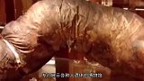 三年不排便，成为世界上唯一被屎憋死的人，死后大肠成博物馆藏品