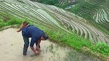 龙脊梯田看上去漂亮，但是生活在这里的村民，每天都很辛苦！