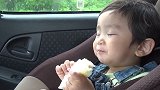 超萌！就算困成狗也不忘嚼两下，太逗趣了