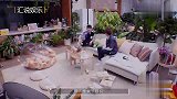 张大大为何能在娱乐圈立足，任嘉伦首谈对他的看法，成功不无道理
