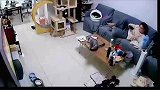 灰猫正在看电视，突然被打了一耳光