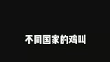 不同国家公鸡打鸣的声音，最后一个是非洲的，幽默！