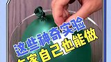自己也能做的小实验来了，看完视频的你学会了吗？快去试试吧