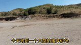 废弃沙场找到两块黄蜡石，外皮颜色不同质感细腻