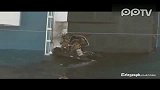 实拍意大利海军在侧翻邮轮上炸开大洞进行搜救