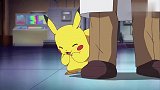 《皮卡丘》对于皮卡丘来说失去小智就是等于失去了全世界