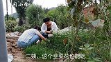 看我们做了什么好吃的，忆苦思甜，二舅说再也找不到儿时的味道了