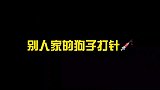 为什么我家的狗狗跟别人的不一样，没想到你也有怂的一天