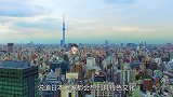 看日本人是如何养猪的，不去生产特供猪，但全都是特供猪！