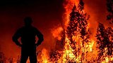 火光冲天！葡萄牙中部森林火灾肆虐，34度高温助长火势蔓延.