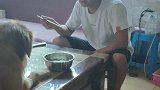 金毛为了骗主人的面条吃，跟主人斗智斗勇，这波操作我服！