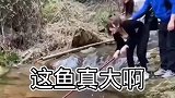 我去，这鱼确实不小