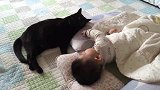躺在地毯上，猫咪和宝宝竟互相划拳，场面一度好笑！