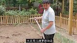 大衣哥儿媳更新动态陈亚男疑被曝怀孕个月其娘家人也已发声