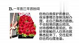 你想收到哪一盒鲜花，测你多长时间交往能够收获爱情