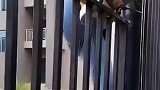 男子翻栏杆出围墙，失足一屁股坐铁刺上